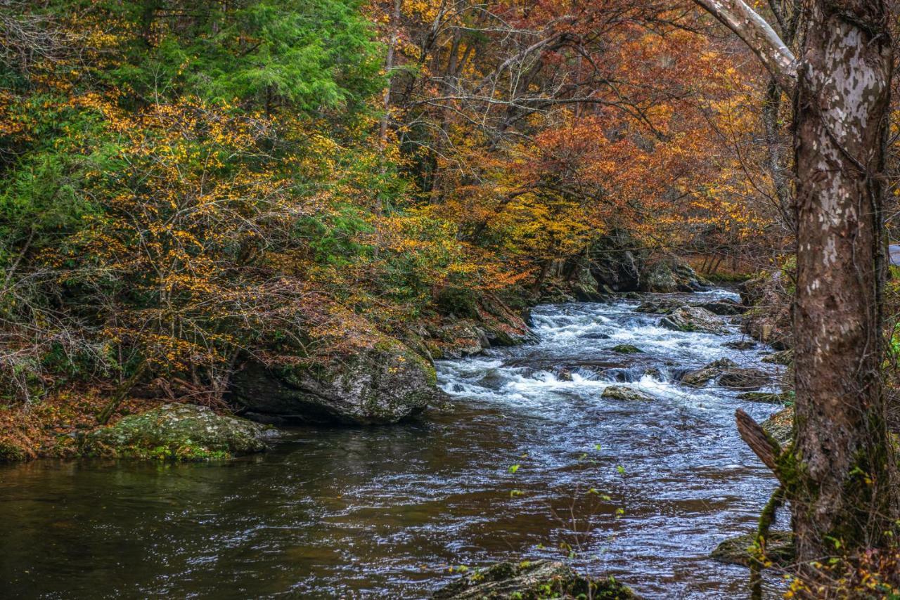 Two Bears Cabin Wear Valley Exterior foto